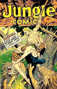 Issue Image