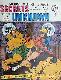 Issue Image